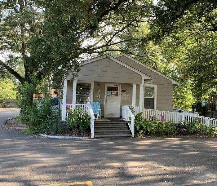 House under tree