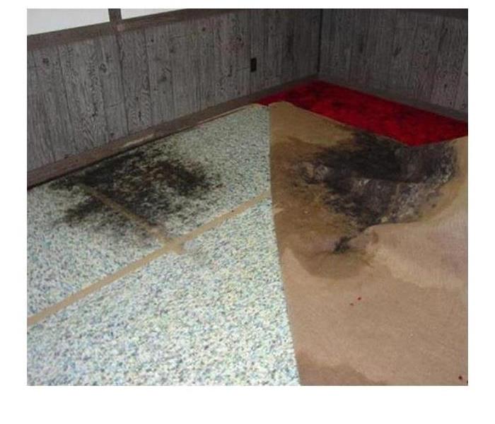 Example of Black Water Damage.